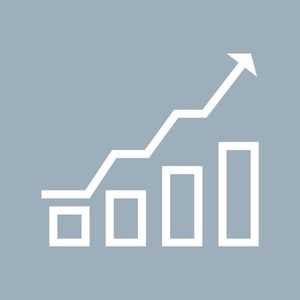 Investment Funds and Business Associations